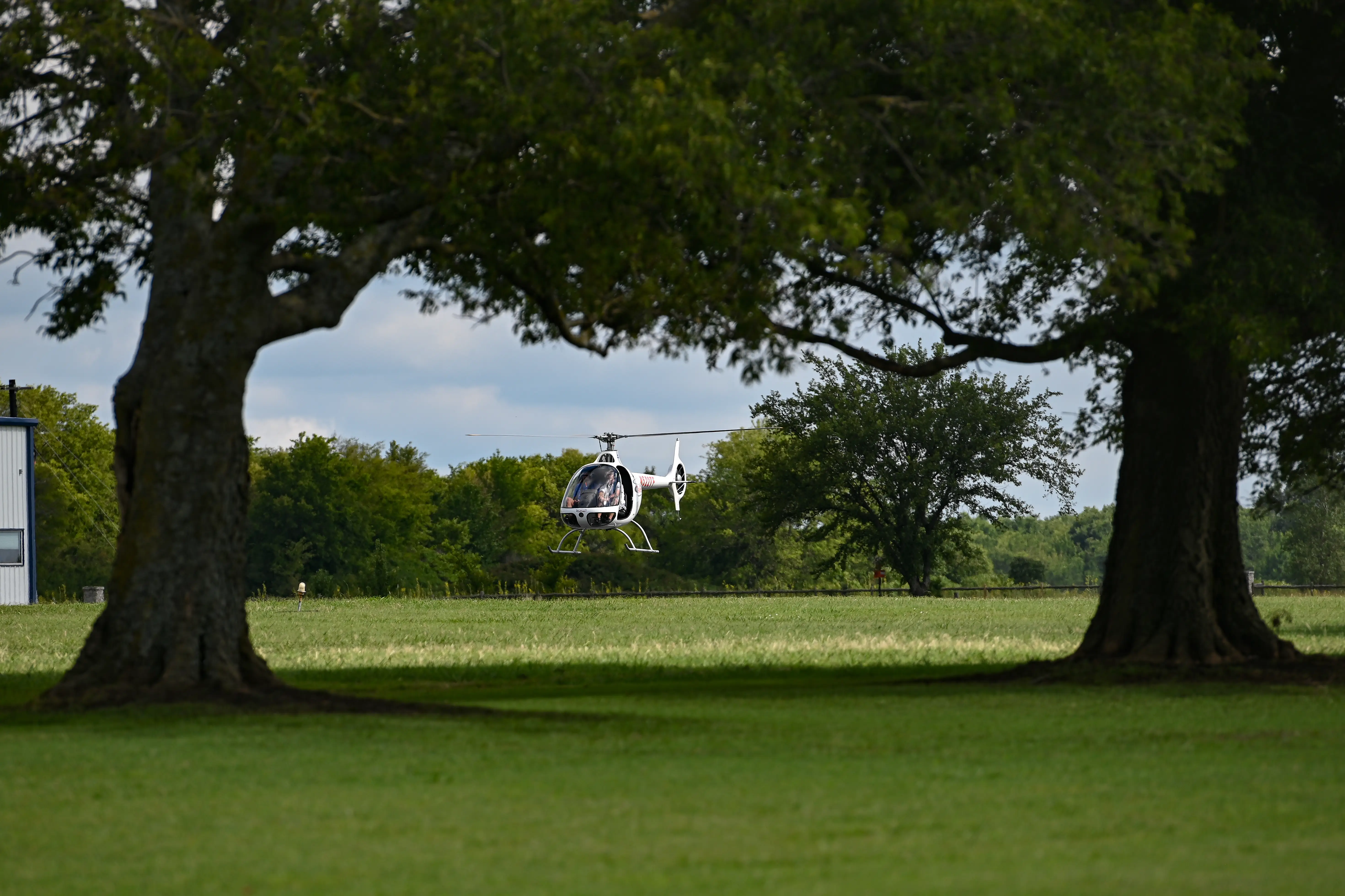 Helicopter taking off with two trees in the foreground